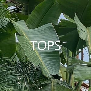 Tops